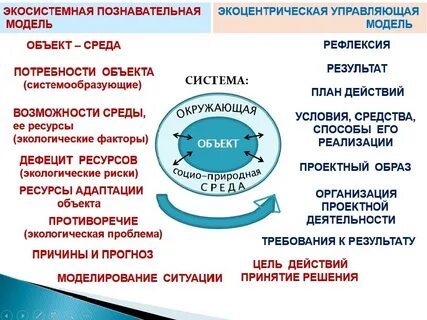 Экосистемная организация живой природы