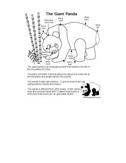 Label pandas