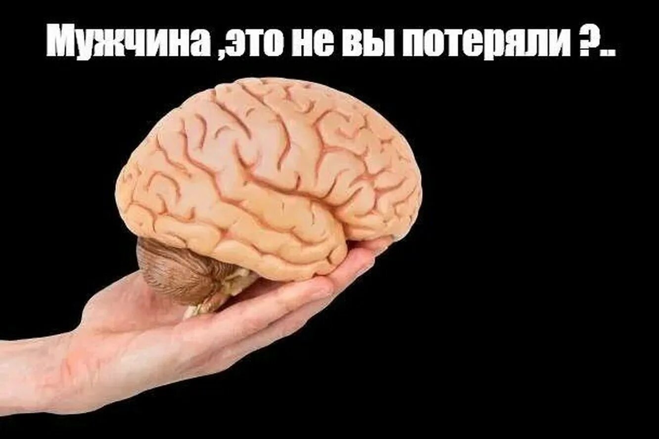 Совсем мозги