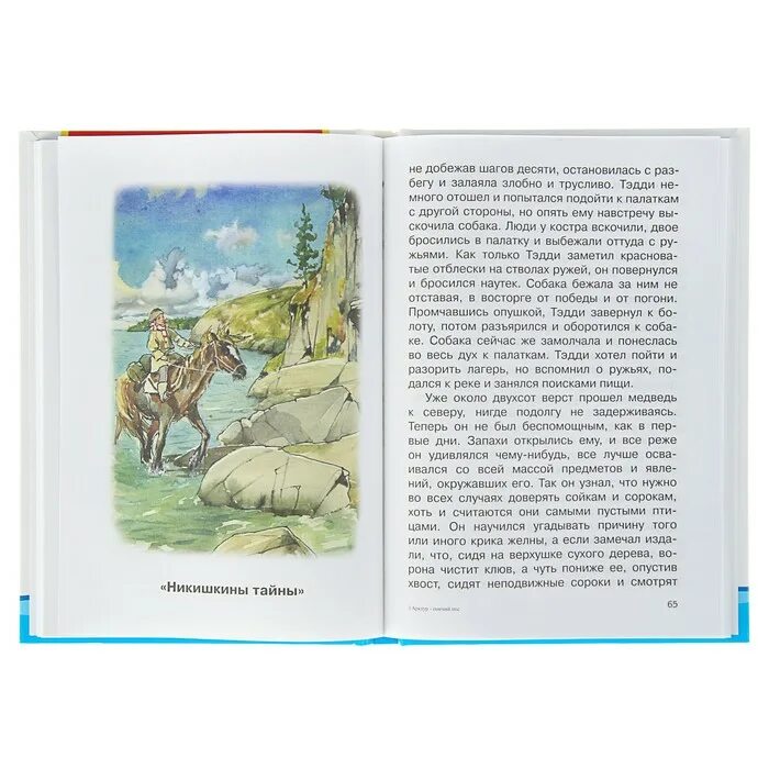 Рассказ тайна краткое. Казаков Никишкины тайны. Никишкины тайны книга. Никишкины тайны иллюстрации к книге. Никишкины тайны краткое содержание.