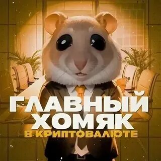 Хомяк задание комбо карты