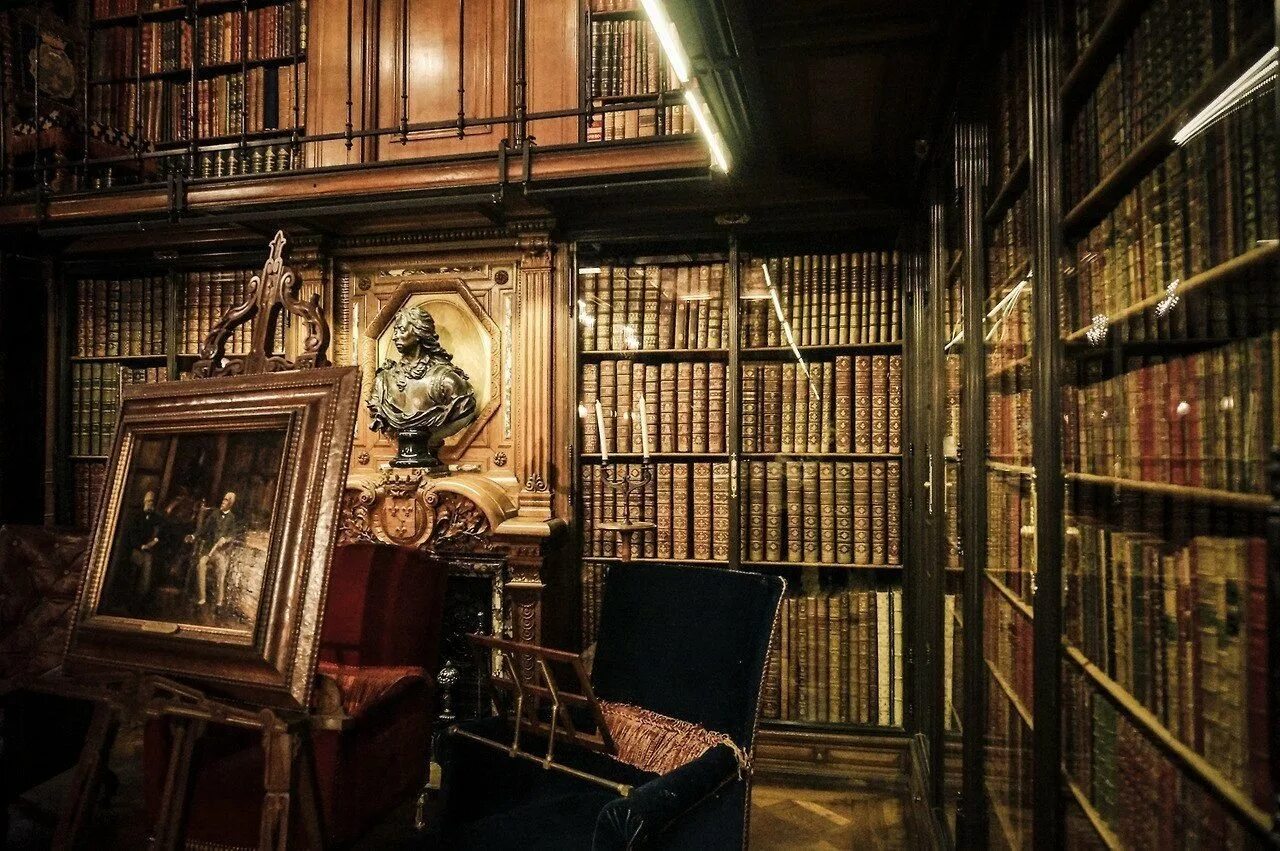 Библиотека книг 18. Эстетика 19 века Англия библиотека. Старинный стеллаж с книгами. Полки для книг. Старинная домашняя библиотека.