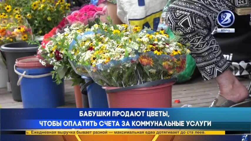Бабушка торгует цветами. Бабушка продает цветы на улице. Торговля цветами на улице. Бабушка продает цветы. Где бабушки продают цветы.