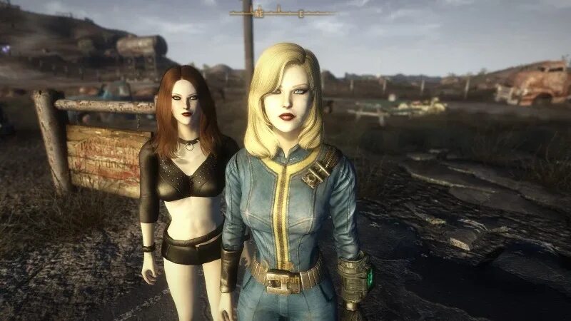 Можно ли в fallout