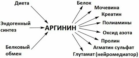 В каких продуктах больше аргинина