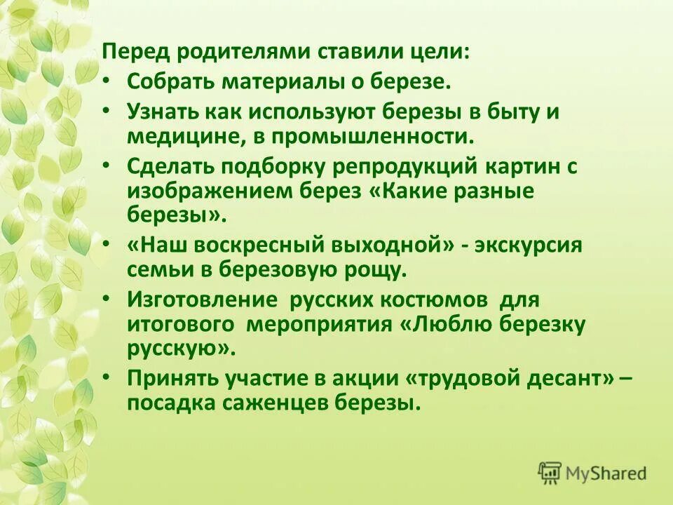 Березка помощь. Листья берёзы от чего помогают. Листья березы в медицине. Цель и задача проекта люблю березку русскую. Береза как проверить.