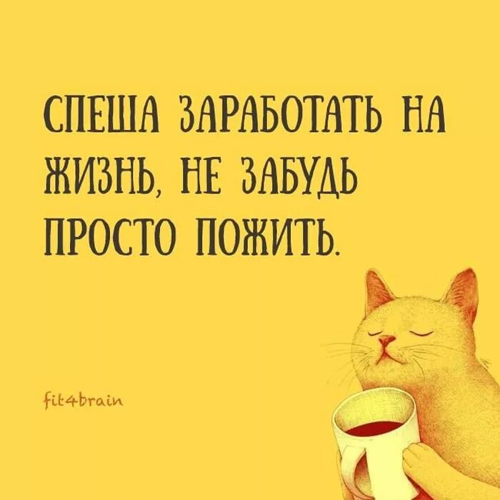 Зарабатывая на жизнь мы часто забываем жить. Не забудьте просто пожить. высказывания про кота. мудрые напоминание. спеша заработать на жизнь не забудь просто пожить.