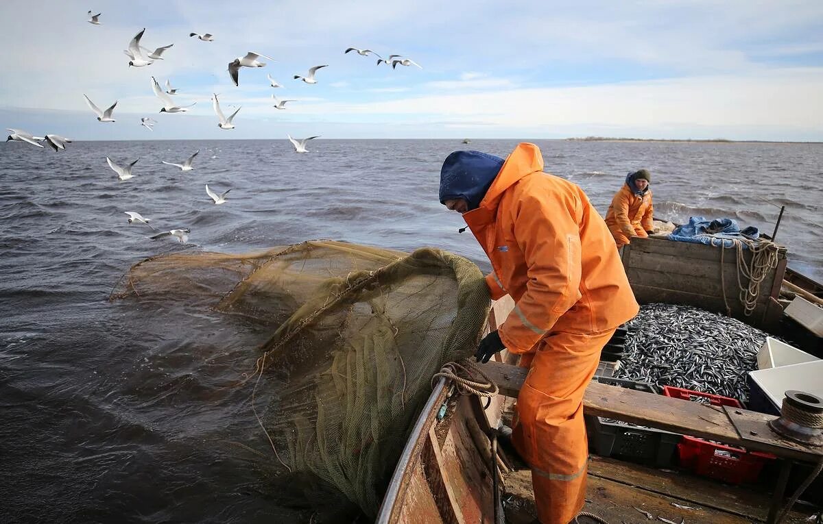 Вылов рыбы в Баренцевом море. Мурманские рыбаки. Дальний Восток рыбаки.