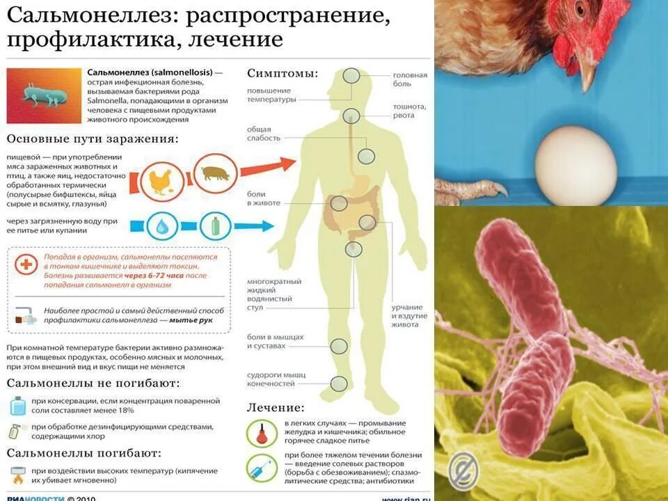 Сальмонеллез причины симптомы профилактика. Патогенез заболевания сальмонеллез. Симптомы заражения сальмонеллезом. Профилактика болезни сальмонеллез. Сальмонеллез б