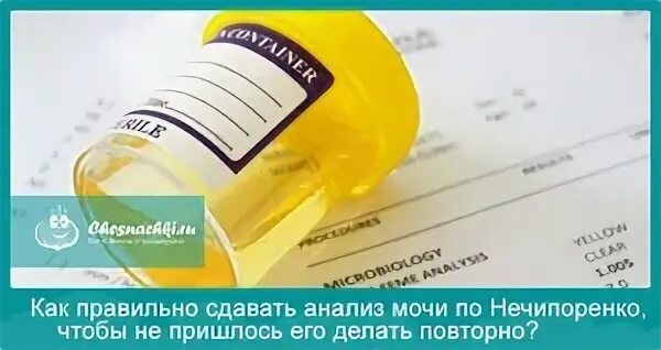 Как сдается анализ по нечипоренко