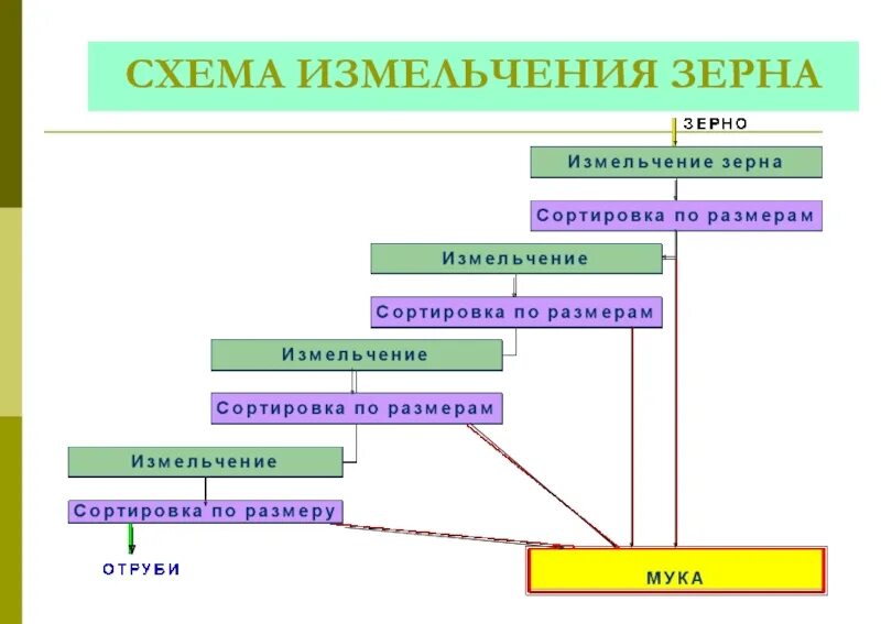 Процесс измельчения зерна. Схемы измельчения. классификация помолов зерна.