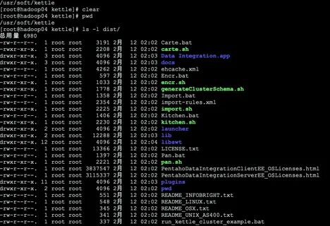 Root xml