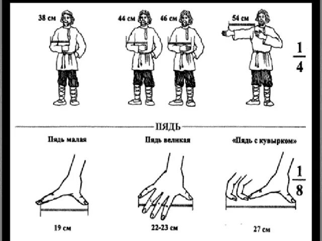 1 2 пяди