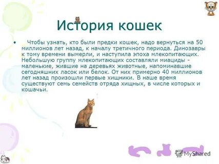 Проект мир кошек