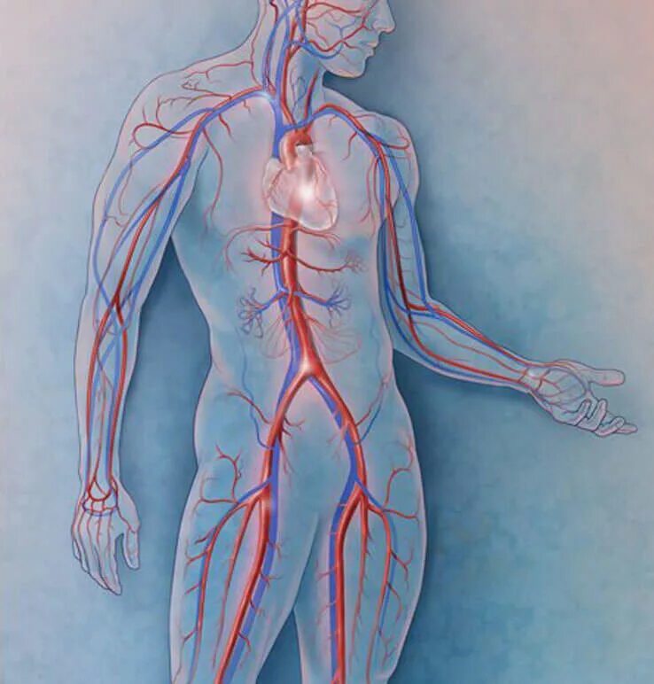 Мерцательная аритмия лечение. Фибрилляция и трепетание предсердий на экг. Аритмия точки. Фибрилляция предсердий мерцательная аритмия экг. Аритмия точки.