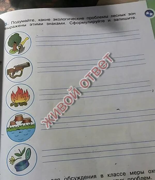 Подумайте и запишите. Подумайте и запишите какую роль лес играет в твоей жизни. записать какую роль играет лес в твоей жизни. какую роль лес играет в твоей жизни 4. какую роль играет лес в твоей жизни 4 класс окружающий мир.