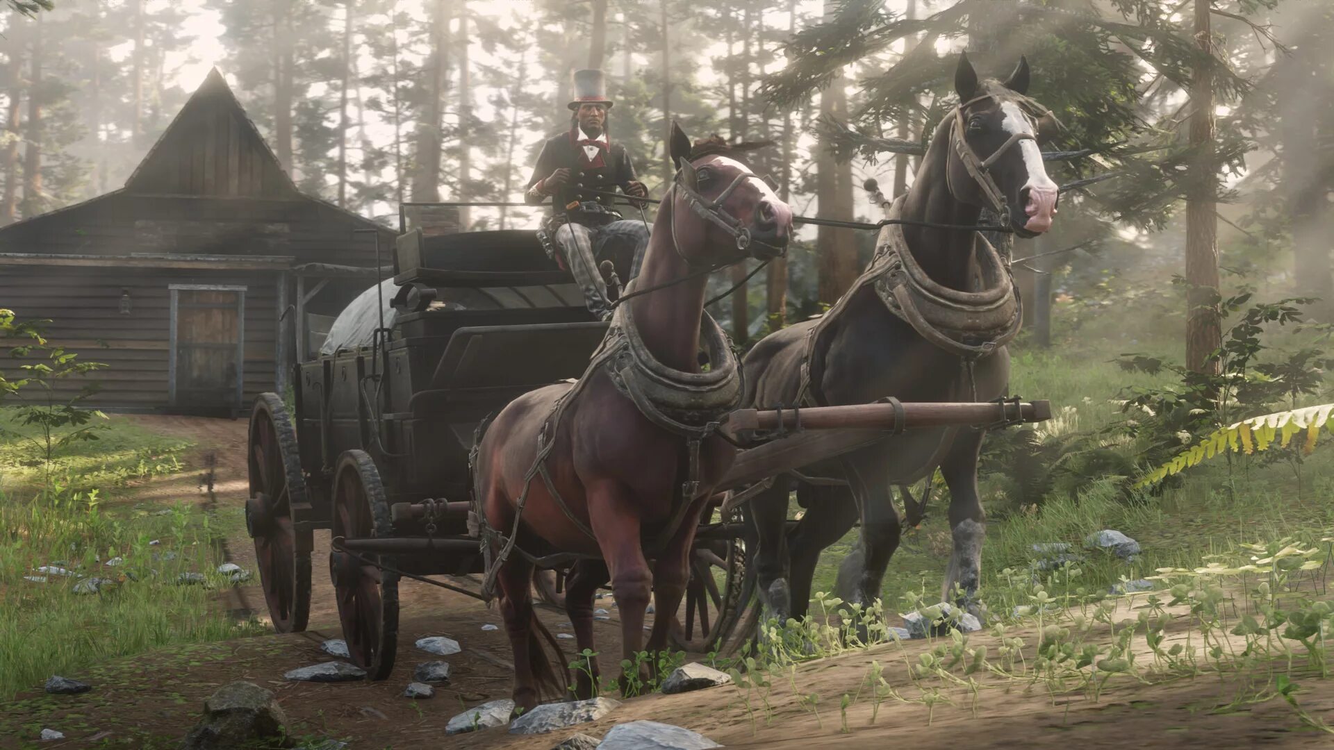 Red Dead Redemption 2. Red Dead Redemption 2 повозка. Red Dead Redemption 2 Самогонщики. РДР 2 Самогонщик.