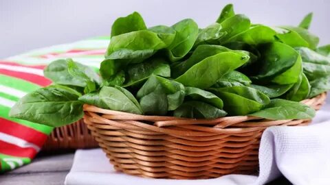 Green vegetable bed