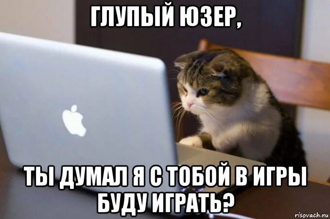 Глупый вариант. Программист от бога. мемы про юзеров. юзер мем. ты глупый мем.