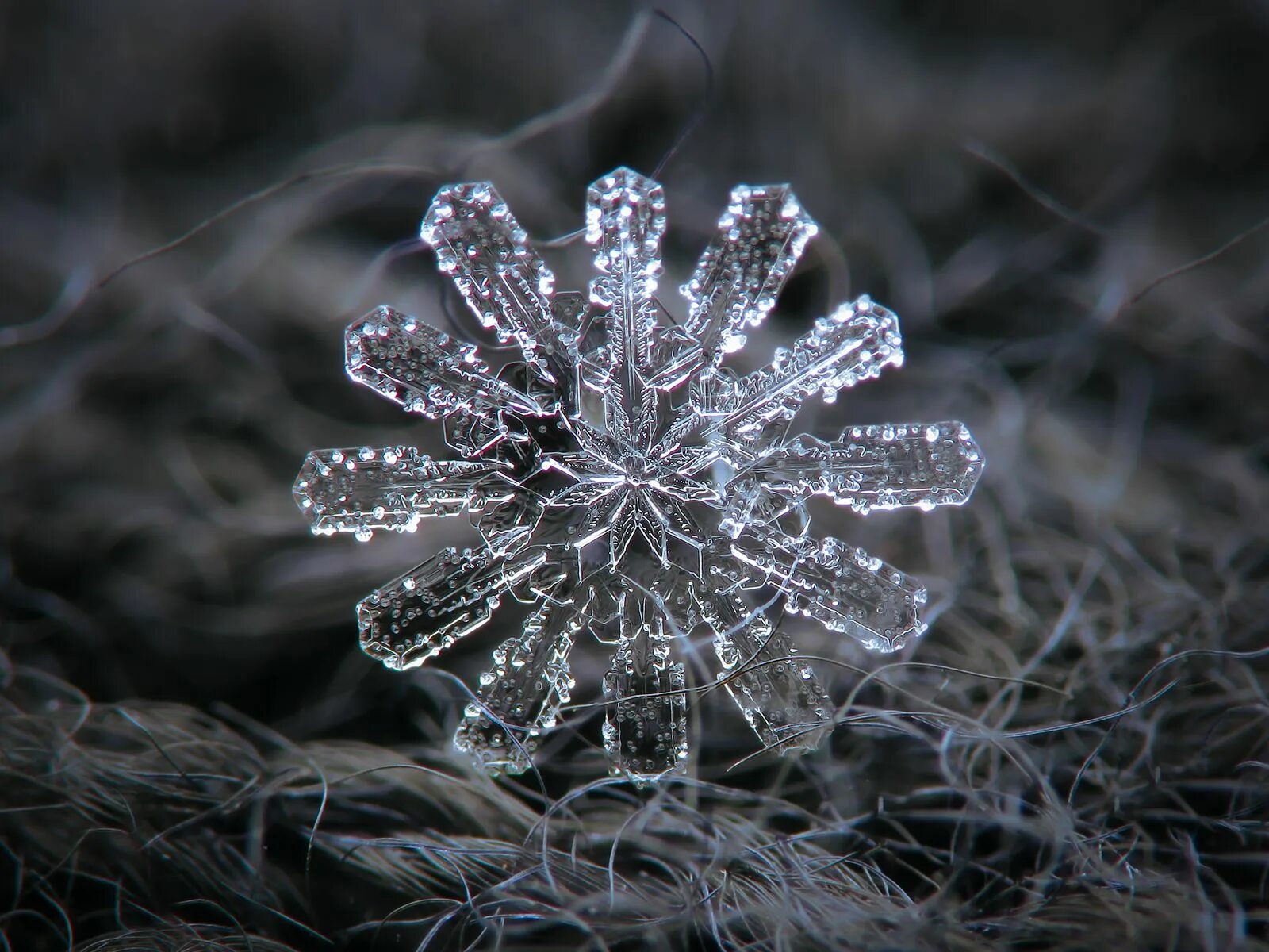 Snowflake