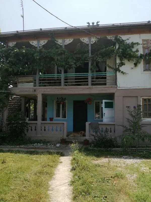 Кындыг частный. Кындыг эвкалиптовая роща.