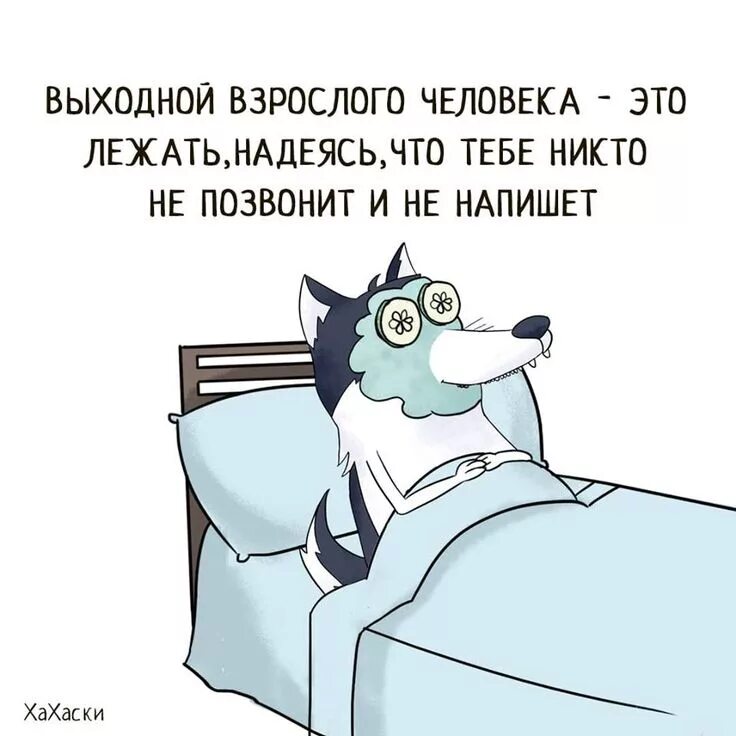 Что будете делать в выходные. Хахаски. Хахаски выходной. Анекдоты про выходные. Шутки про выходные.