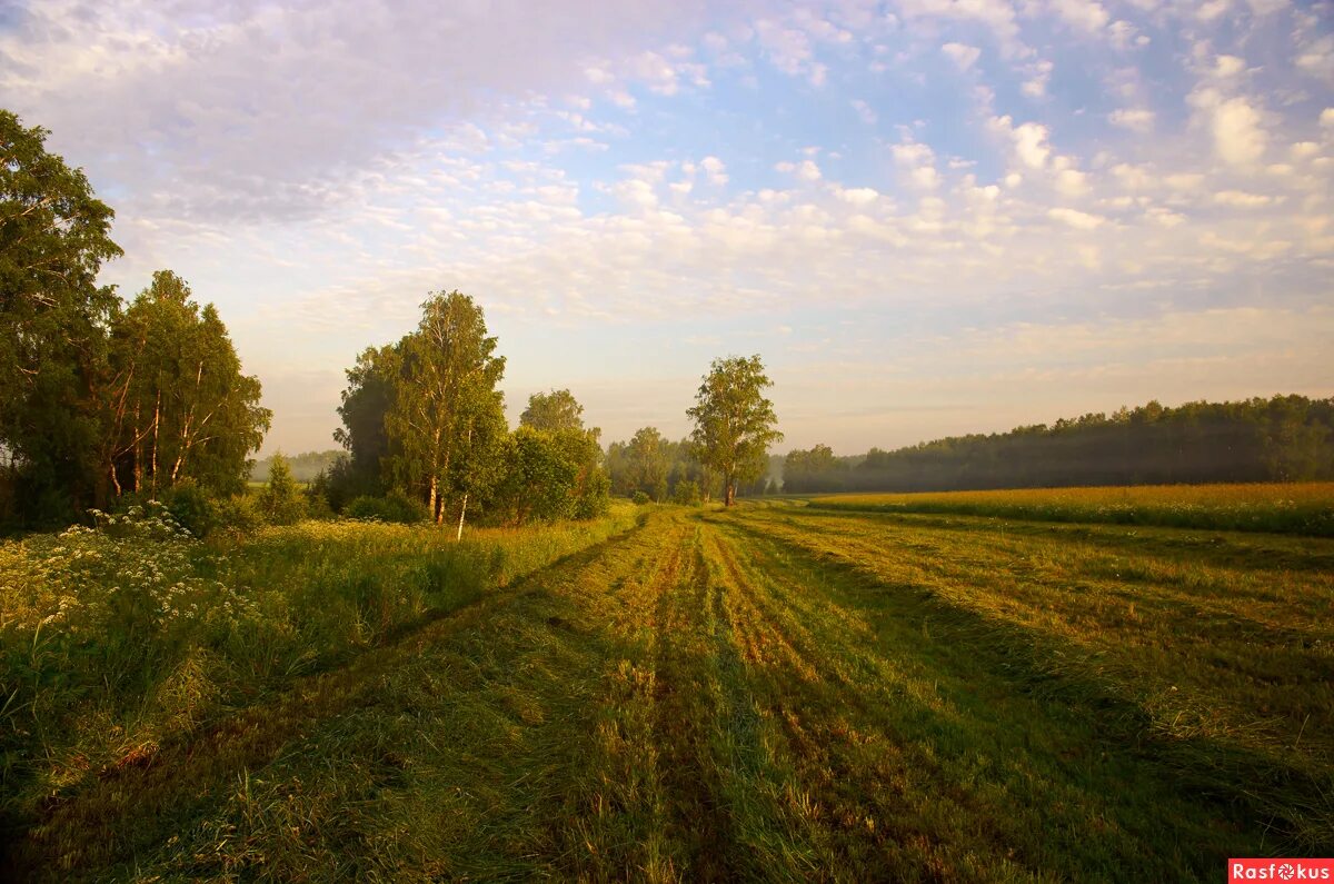 Родина картинки. Родина природа. Природа России. Просторы Родины. Русские просторы.