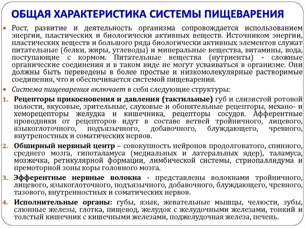 Структурно-функциональная характеристика пищеварительной системы. Общая характеристика процессов пищеварения. Общая морфофункциональная характеристика пищеварительной системы. Система пищеварения характеристика.