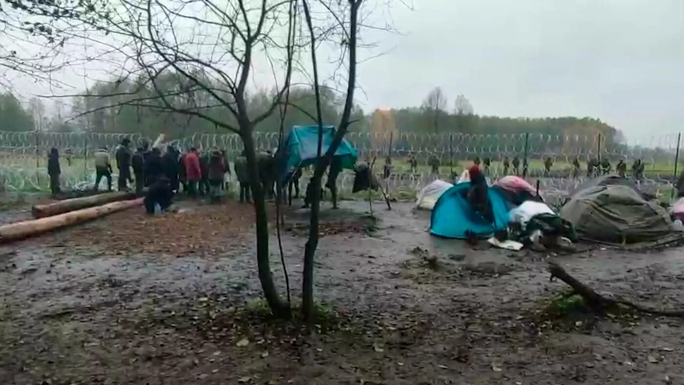 Откуда нападение на беларусь. Видео мигрантов с польской границы. Мигранты в Европе против пограничников Польши. Происшествия на границе с Польшей.