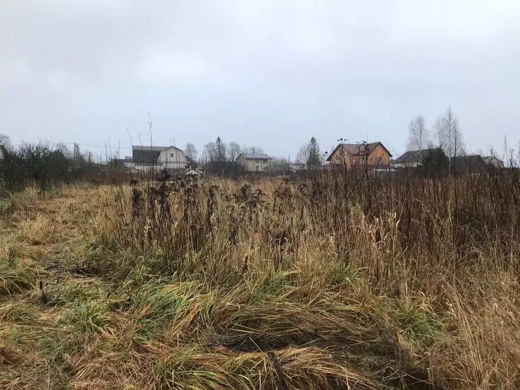 Погода низино ломоносовский. Низино Ломоносовский район. Ленинградская область Ломоносовский район Низино ул.Центральная д.7а. Деревня Перекюля. Низино ул Береговая.