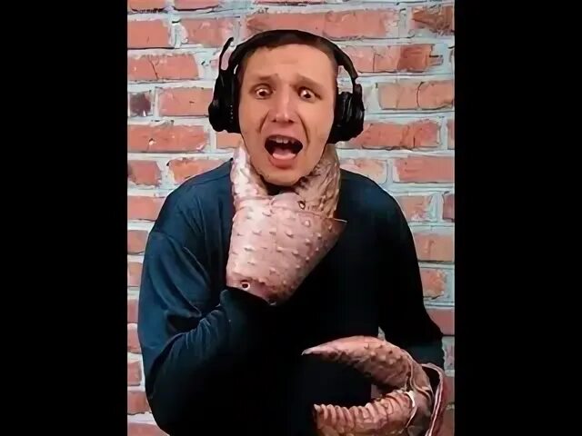 Тададам тадам тадам. Тададам тадам тадам