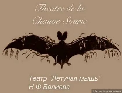 Песня тише летучей мыши