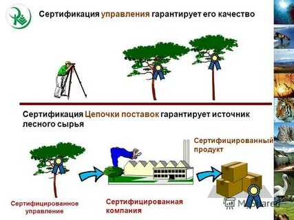 Гарантированное управление