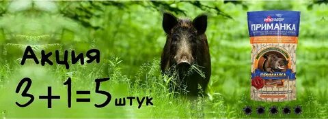 Приманка для кабана