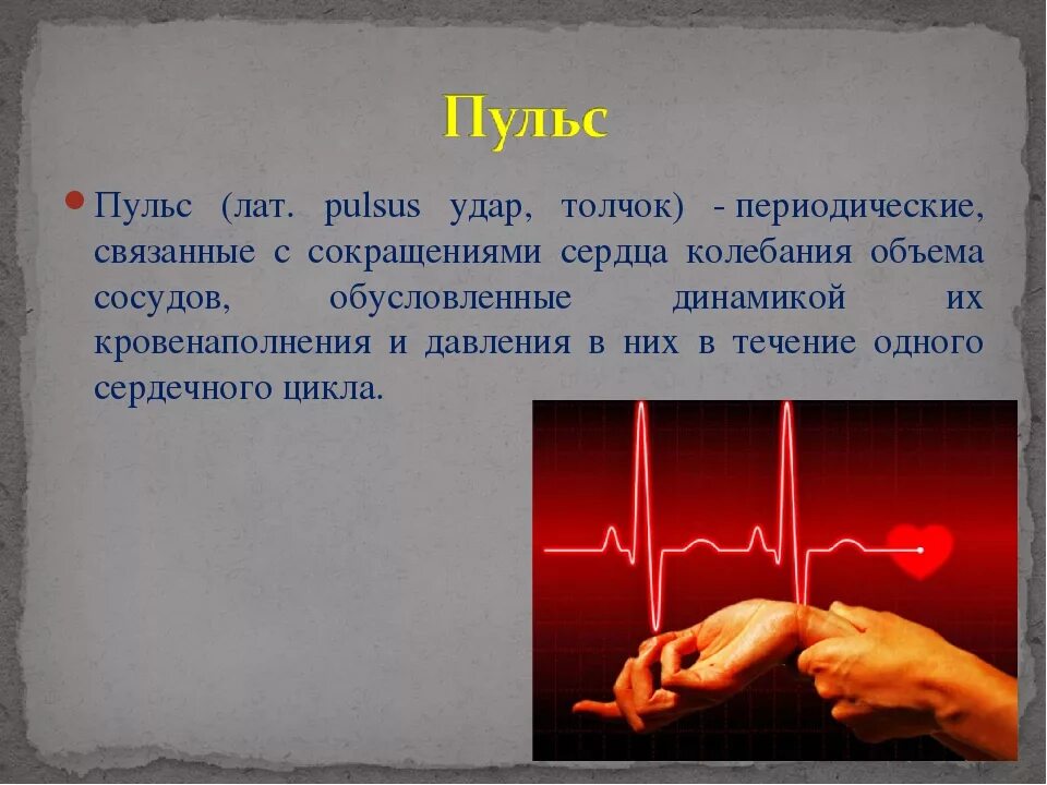 Почему снижается пульс. Пульс. Пульс презентация. Презентация на тему пульс.