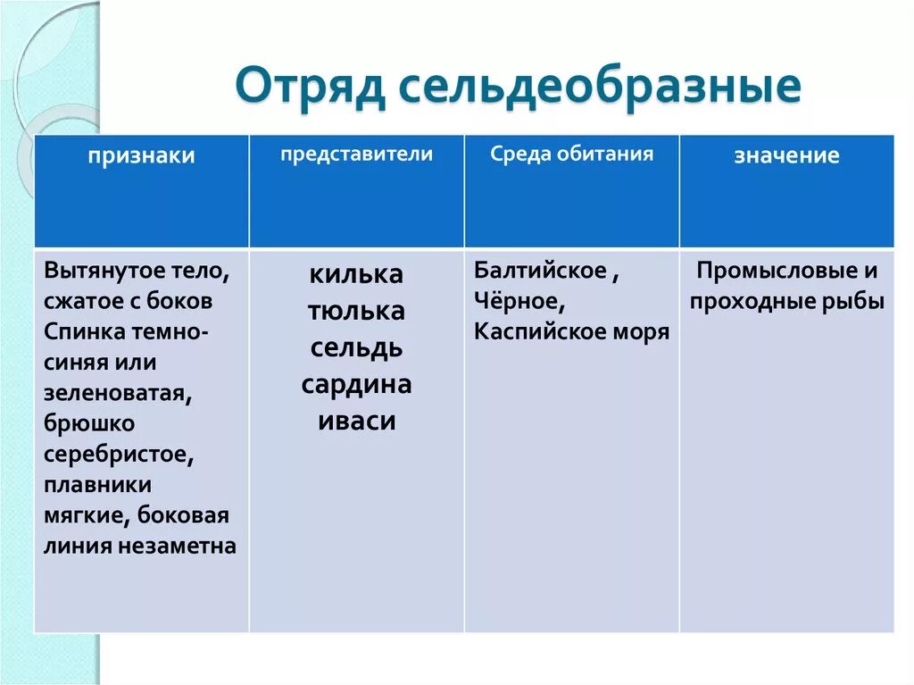 Признаки отряда Сельдеобразные. Отряд Сельдеобразные характерные признаки. Отряд Сельдеобразные признаки отряда. Характерные признаки сельдеобразных.