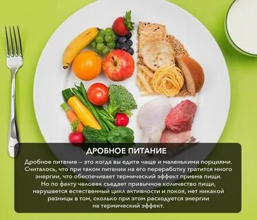 Дробное питание основные принципы и меню