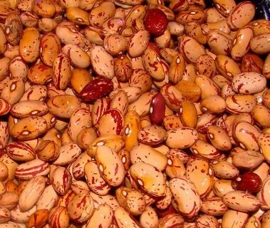 Bean mine