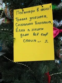 Почему елку надо убрать до крещения