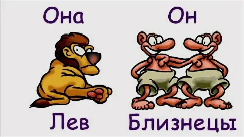 Любовь близнецы и лев