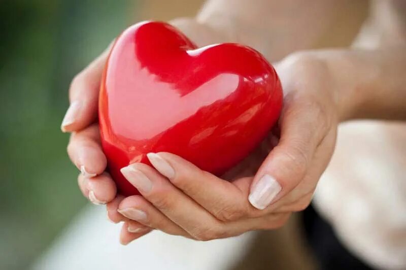 Не суди человека по внешности цитаты. Дерево сердце. Шотландская пословица. Сердечко руками. Сердце в руках.