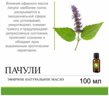 Пачули эфирное масло свойства магические