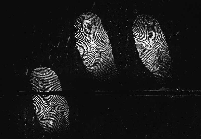дактилоскопия. предмет дактилоскопии. отпечатки пальцев в криминалистике. отпечатки пальцев на бумаге.