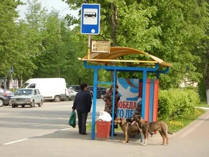 Остановки ивантеевка