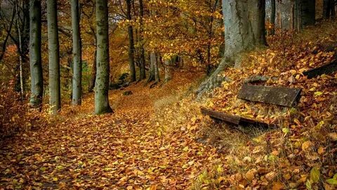Осенний объект
