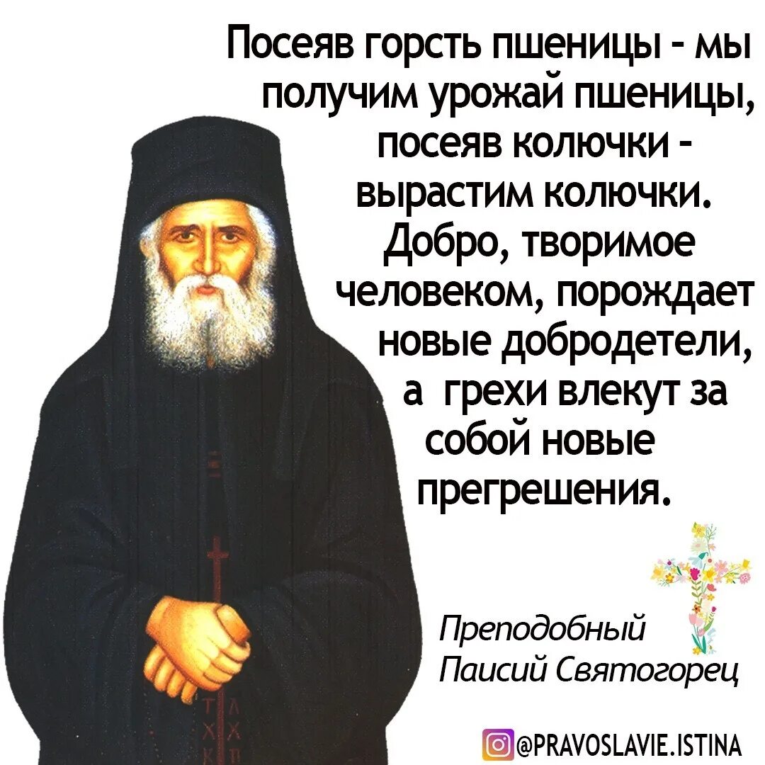 Слушать наставления святых отцов. Преподобный Паисий Святогорец изречения. Паисий Святогорец высказывания. Высказывания преподобного Паисия Святогорца. Паисий Святогорец Афонский.