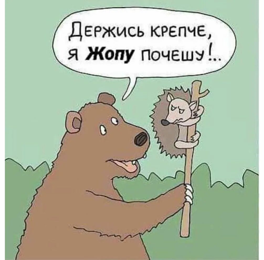 Держись от меня подальше лафф. Карикатуры смешные. шутки про медведя. шутки про мишку. держись крепче.
