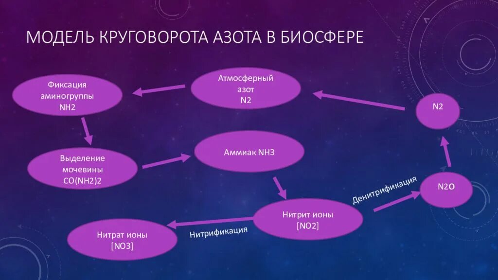 Vi процесс. Схему круговорота вещества в биосфере азот. Атмосферный азот круговорот веществ. Круговорот азота в биосфере 9 класс. Круговорот веществ азота схема.