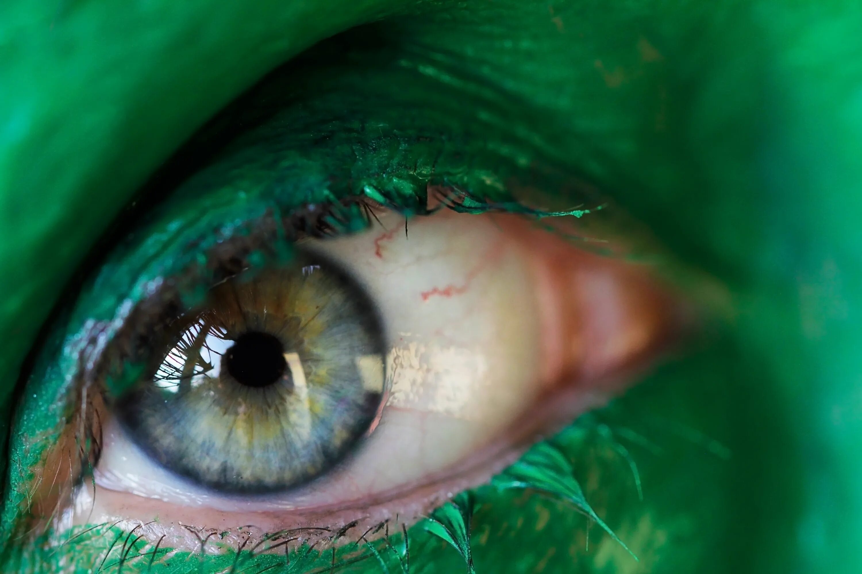 Увидим глаза зеленая