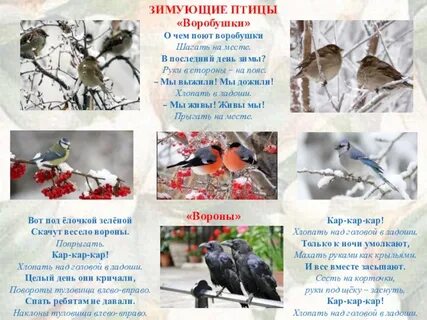 О чем поют воробушки